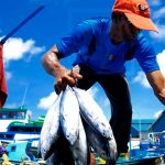 CUATRO-RAZONES-PARA-APOSTAR-POR-LA-PESCA-SOSTENIBLE