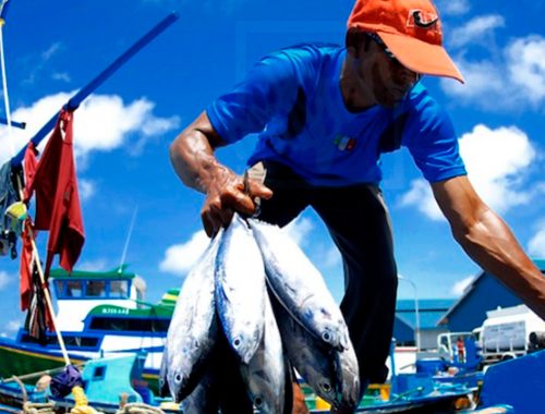 CUATRO-RAZONES-PARA-APOSTAR-POR-LA-PESCA-SOSTENIBLE