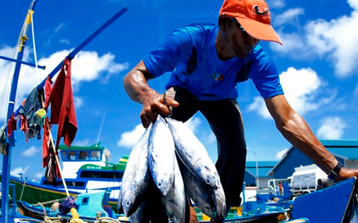 CUATRO-RAZONES-PARA-APOSTAR-POR-LA-PESCA-SOSTENIBLE